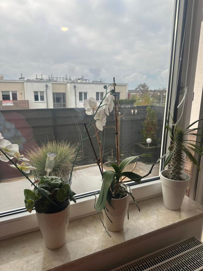 Apartament Kiekrz Apartment Baranowo  Екстериор снимка